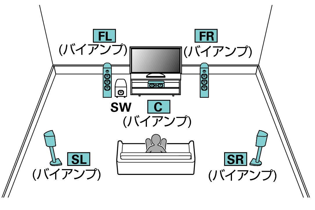 Pict SP Layout 5.1 BiAmp X64